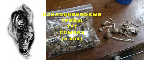 стафф Алзамай
