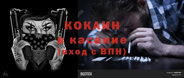 стафф Алзамай